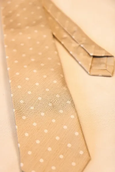 Tie 100% Silk Beige White Dots Self Tip