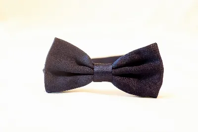 Bowtie100% Silk Navy Plain